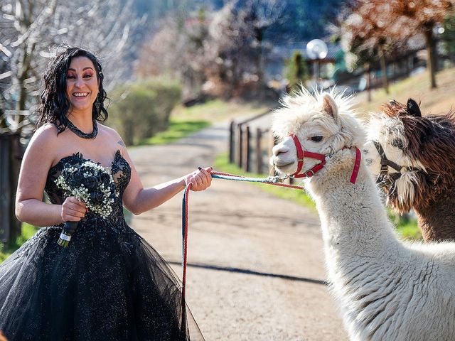 Il matrimonio di Alessadro e Angela a Bergamo, Bergamo 23