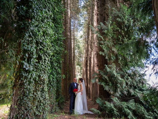 Il matrimonio di Alfredo e Laura a Pombia, Novara 17