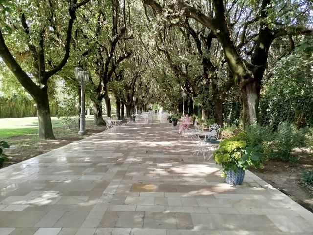 Il matrimonio di Assunta e Saverio  a Bisceglie, Bari 24