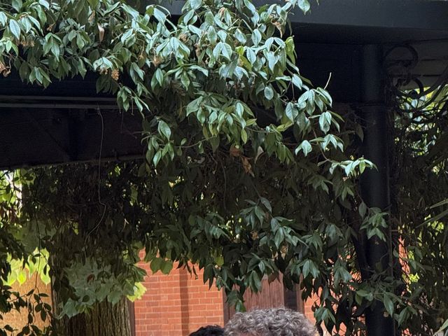 Il matrimonio di Alberto e Luna a Cavour, Torino 10