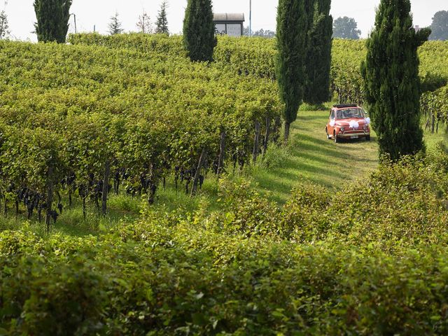 Il matrimonio di Matteo e Diane a Padenghe sul Garda, Brescia 18