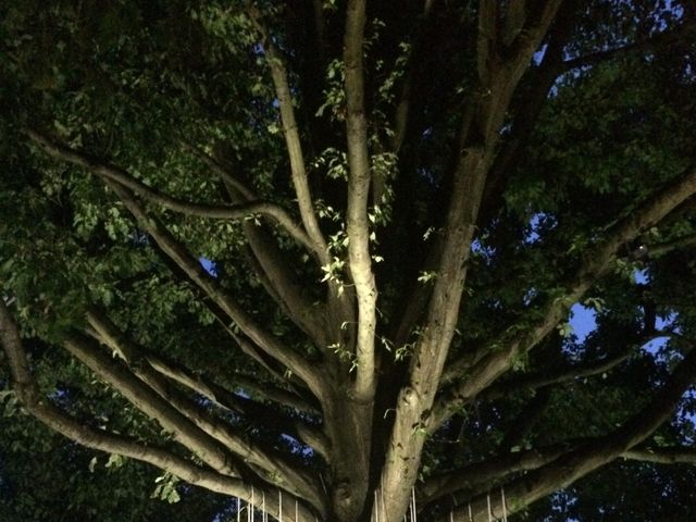 Il matrimonio di Boris e Fabrizia a Ispra, Varese 13