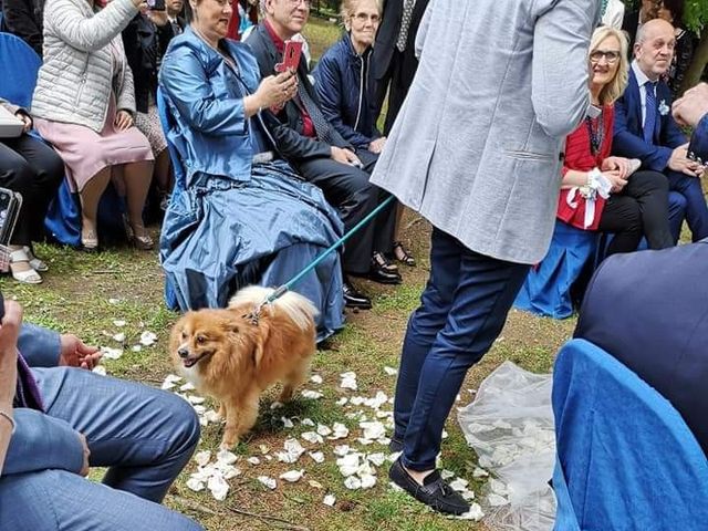 Il matrimonio di Fabio e Lisa a Varallo Pombia, Novara 6