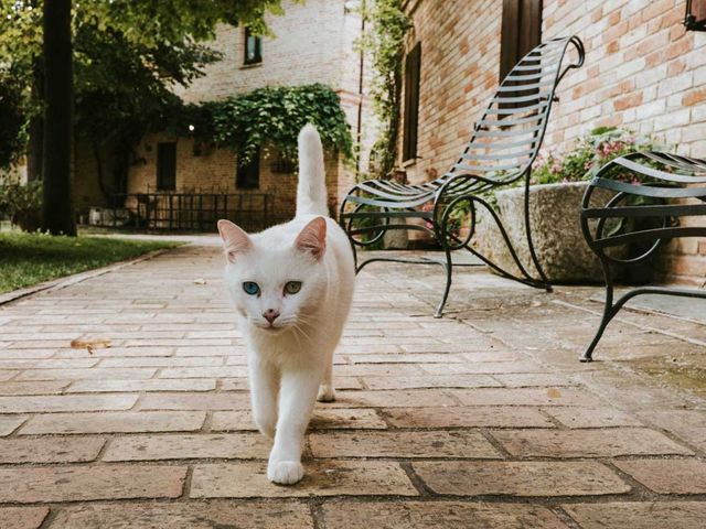 Il matrimonio di Matteo e Donatella a Macerata, Macerata 4