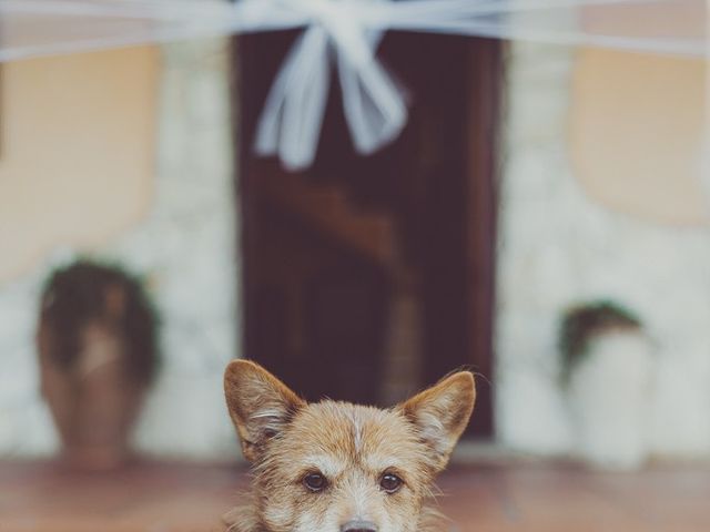 Il matrimonio di Marco e Lucia a Sassari, Sassari 5