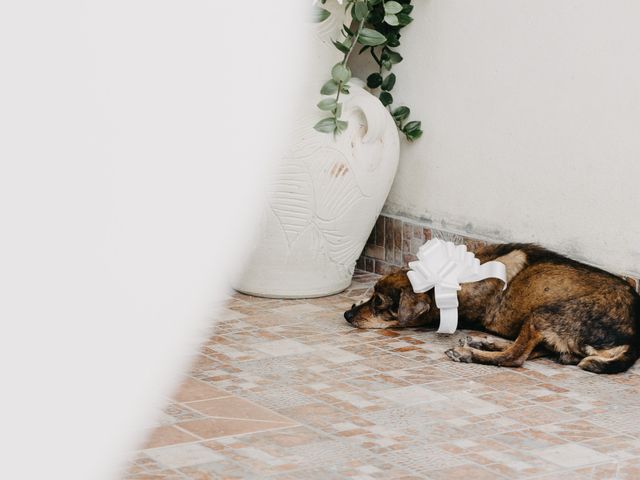 Il matrimonio di Cristian e Jessica a Castelnuovo Cilento, Salerno 2