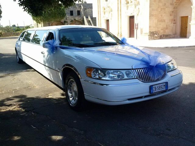 Il matrimonio di Silvia e Vincenzo a Castro, Lecce 18