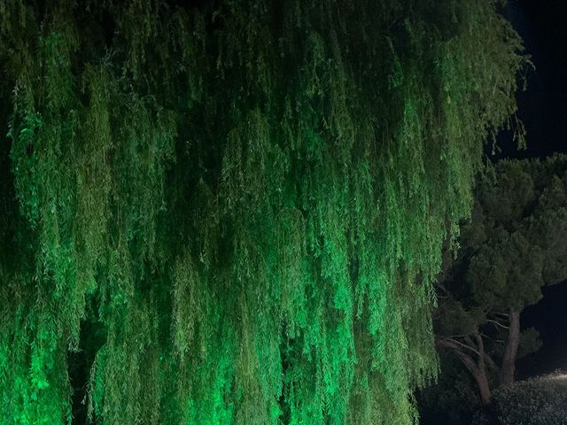 Il matrimonio di Claudia Truppi e Valerio Di Lernia a Roma, Roma 15
