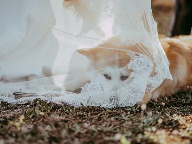 Il matrimonio di Giacomo e Viola a Barumini, Cagliari 6