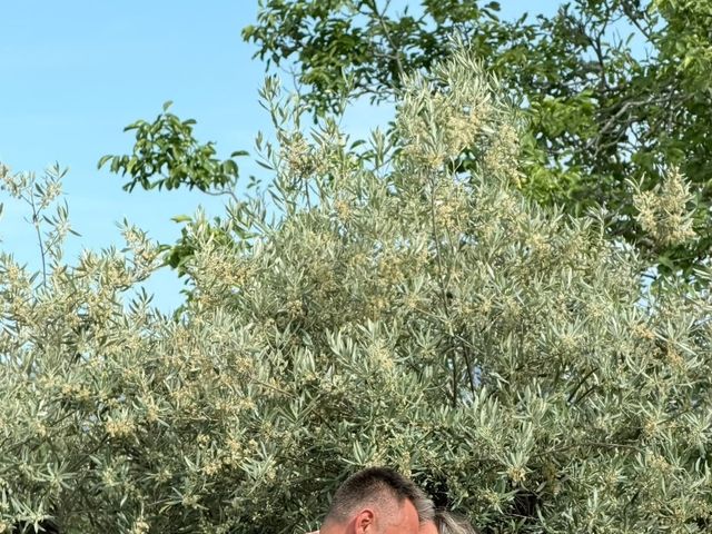 Il matrimonio di Alex e Elisabetta a Vergato, Bologna 2