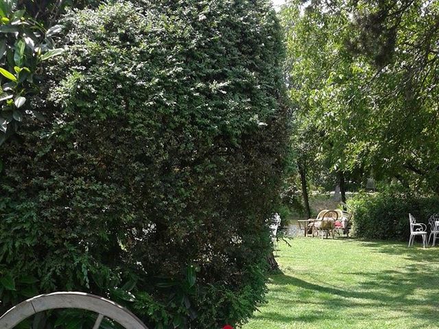 Il matrimonio di Sabrina e Francesco a Reggio nell&apos;Emilia, Reggio Emilia 5