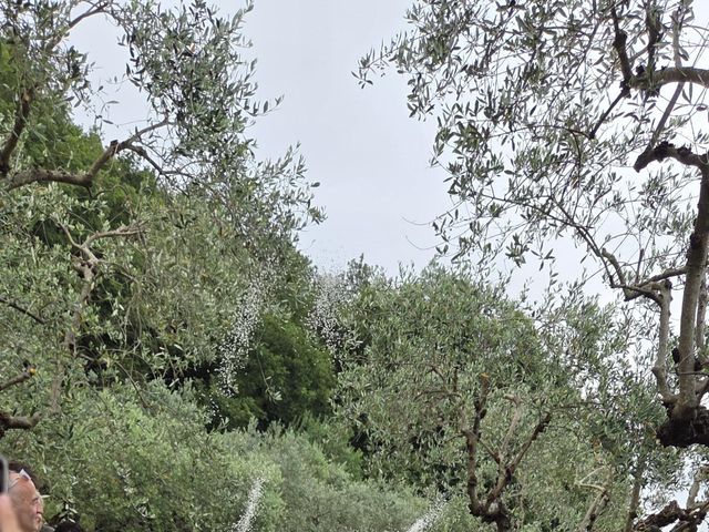 Il matrimonio di Tommaso e Sara a Monsummano Terme, Pistoia 7