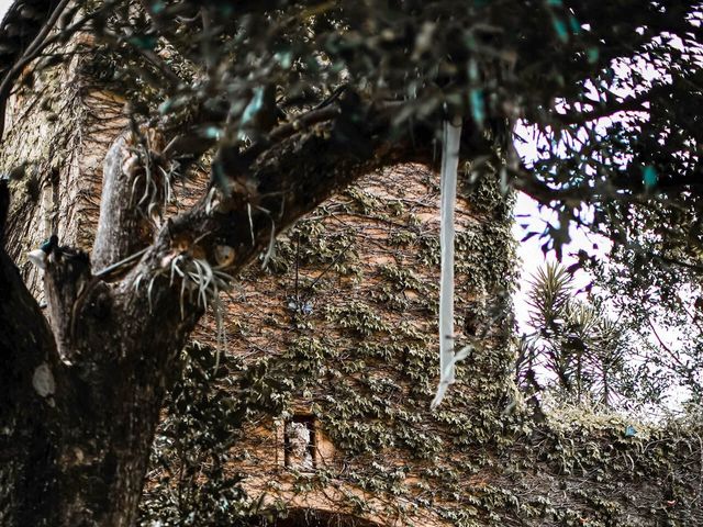 Il matrimonio di Matthew e Kathleen a Ostuni, Brindisi 3