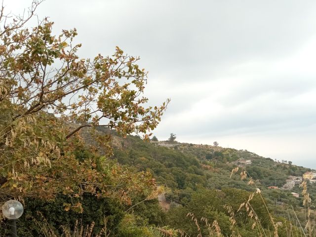 Il matrimonio di Fancesco e Erica a Sant&apos;Agnello, Napoli 22