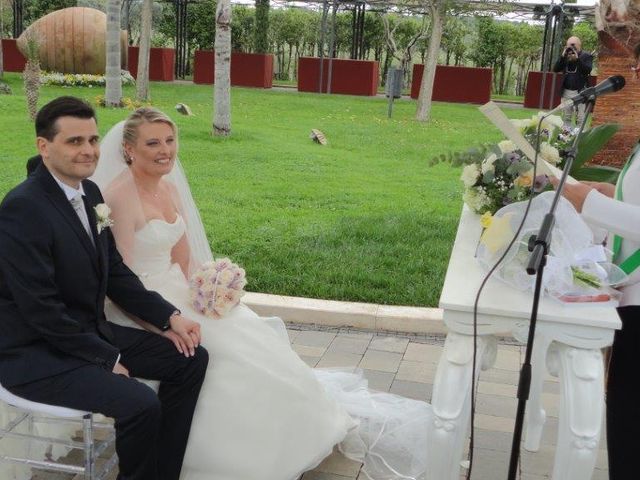 Il matrimonio di Andrea e Ilaria  a Cerveteri, Roma 7