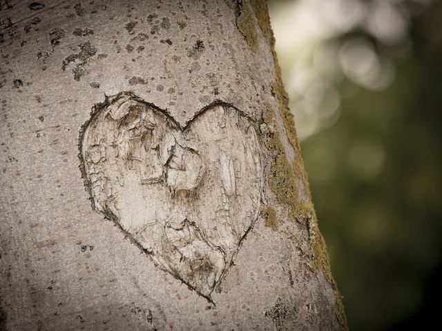 Il matrimonio di Luca e Sara a Civitanova Marche, Macerata 32