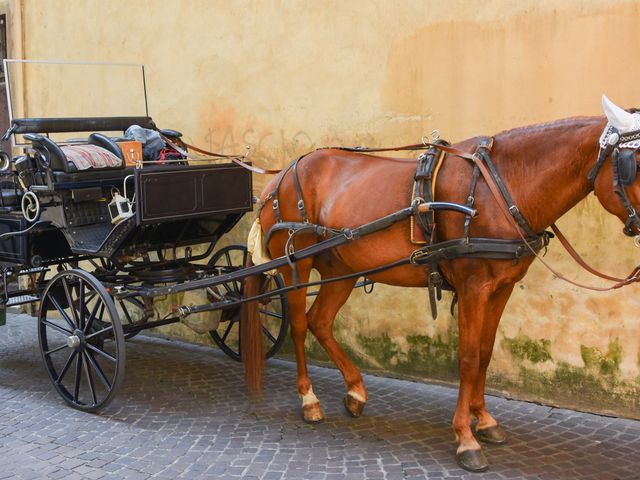 Il matrimonio di Blerim e Elena a Lucca, Lucca 19