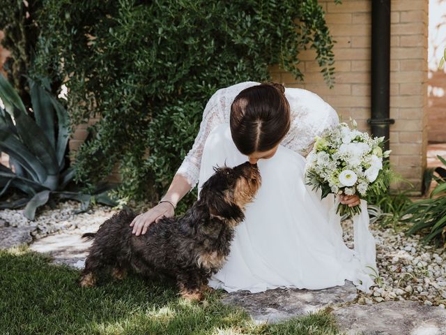 Il matrimonio di Andrea e Irene a Padova, Padova 6