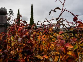 Le nozze di Michela e Simone 1