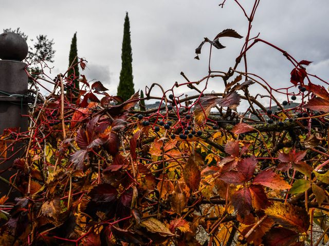 Il matrimonio di Simone e Michela a Carmignano, Prato 1