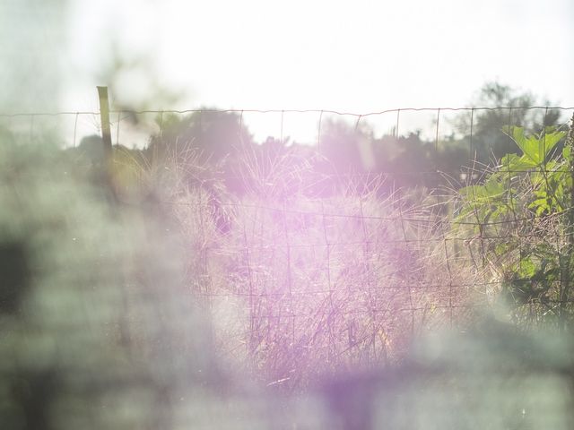 Il matrimonio di Alfio e Beatrice a Cagliari, Cagliari 65