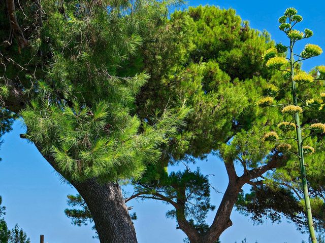 Il matrimonio di Davide e Daniela a Grottammare, Ascoli Piceno 58