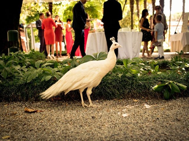 Il matrimonio di Matteo e Chiara a Treviso, Treviso 34