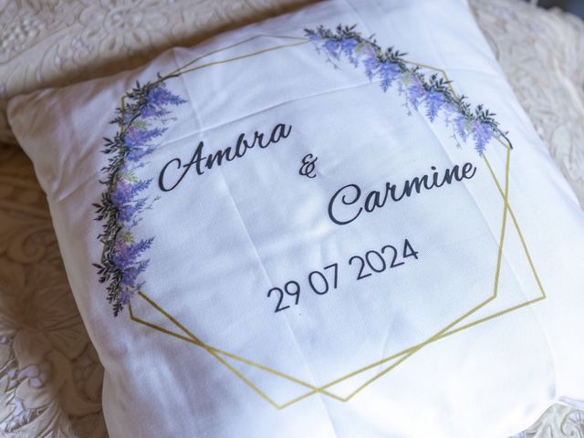 Il matrimonio di Carmine e Ambra a Pavia, Pavia 9