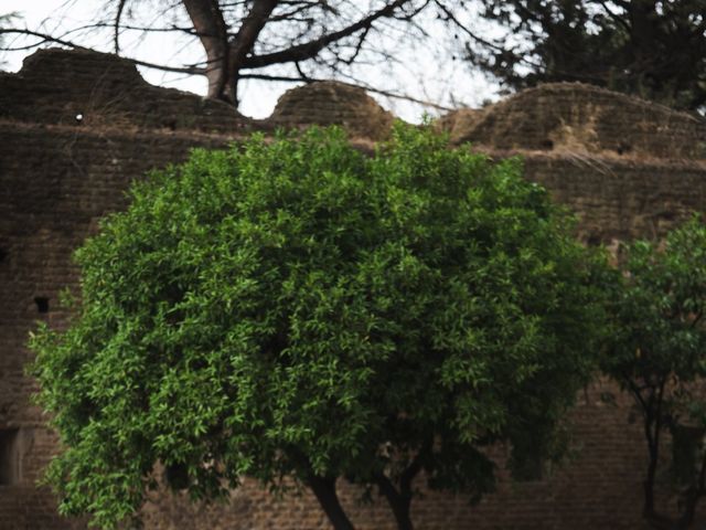 Il matrimonio di Francesco e Eleonora a Tivoli, Roma 85