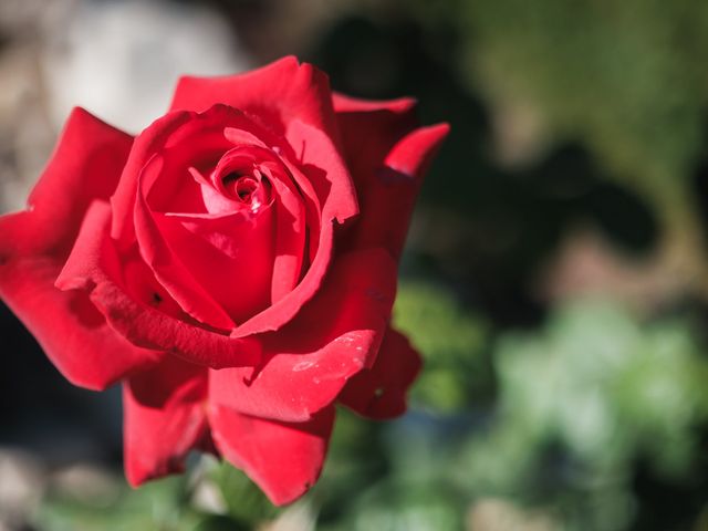Il matrimonio di Stefania e Andrea a Pomezia, Roma 73