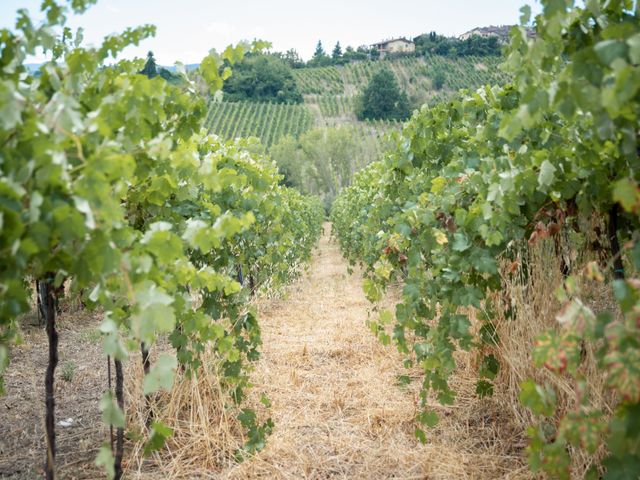 Il matrimonio di Michele e Alessia a Borgonovo Val Tidone, Piacenza 64