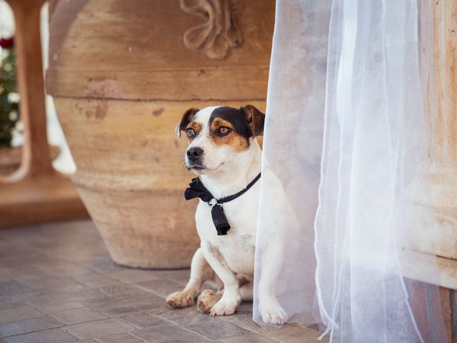 Il matrimonio di Sara e Matteo a Monte San Giovanni Campano, Frosinone 4