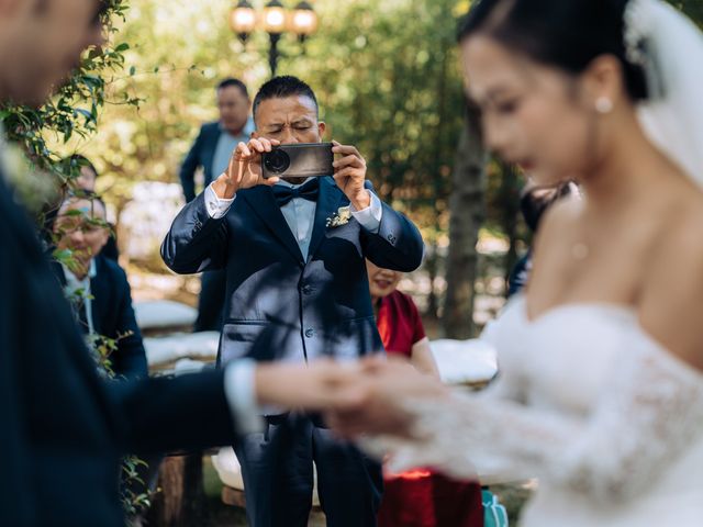 Il matrimonio di Stefano e Lili a Venegono Inferiore, Varese 41