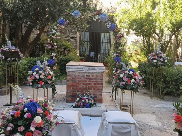 Il matrimonio di Damiano e Roberta a Palermo, Palermo 5