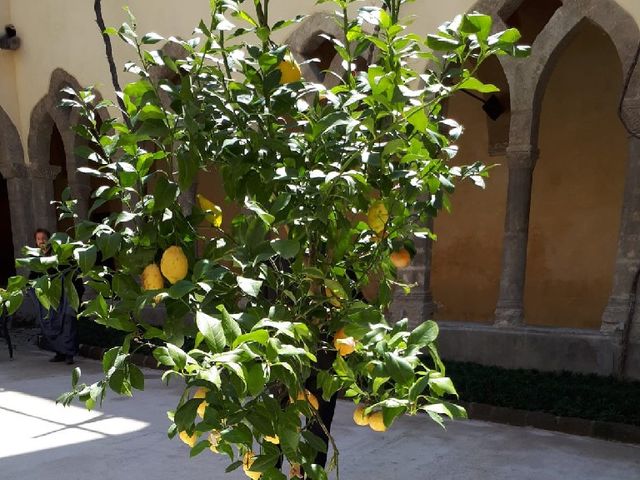 Il matrimonio di Pasquale  e Deborah  a Sorrento, Napoli 6