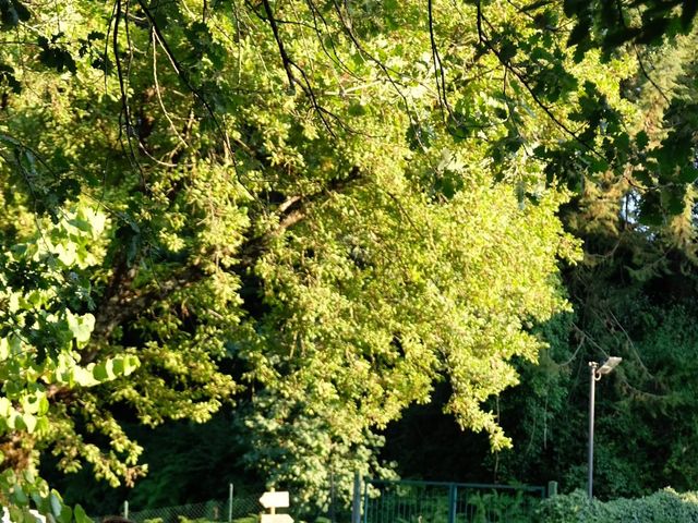 Il matrimonio di Umberto  e Roberta a Arpino, Frosinone 1