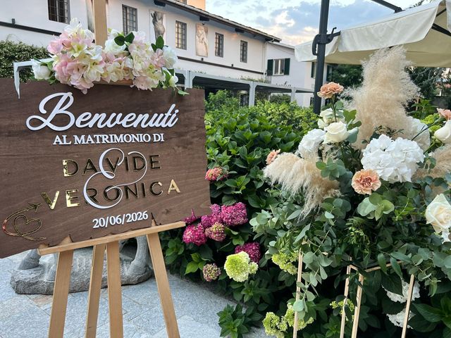 Il matrimonio di Davide  e Veronica  a Cavour, Torino 11