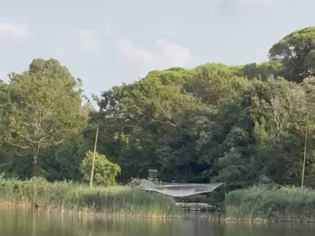 Il matrimonio di Aldo e Anna a Torre del Lago, Lucca 17