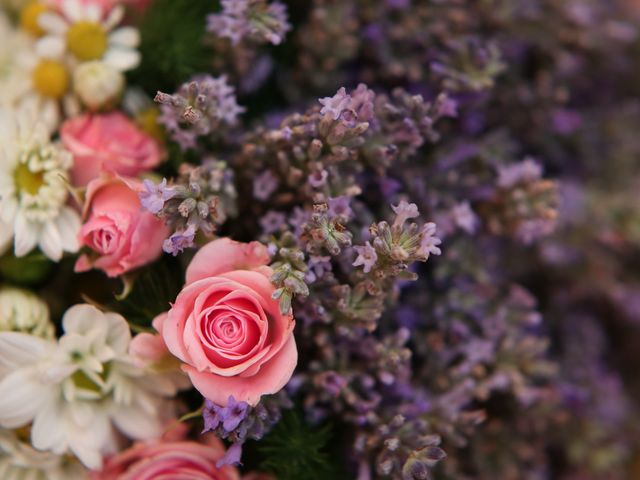 Il matrimonio di Michele e Giorgia a Molfetta, Bari 4