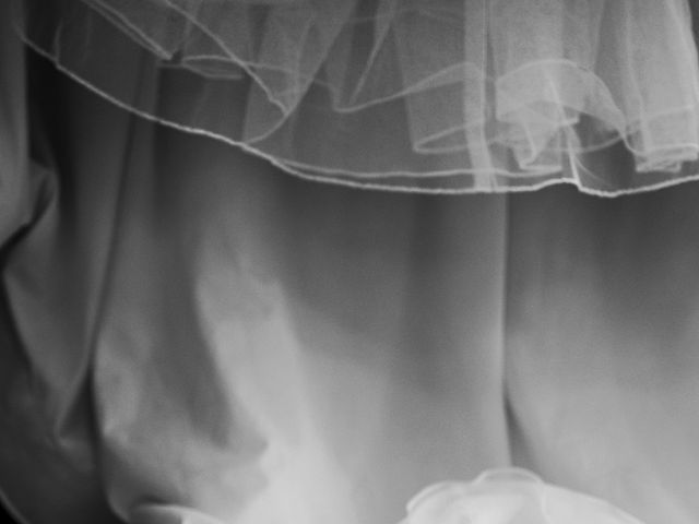Il matrimonio di Antonia e Sergio a Ancona, Ancona 10