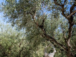 Le nozze di Antonia e Stefano 1