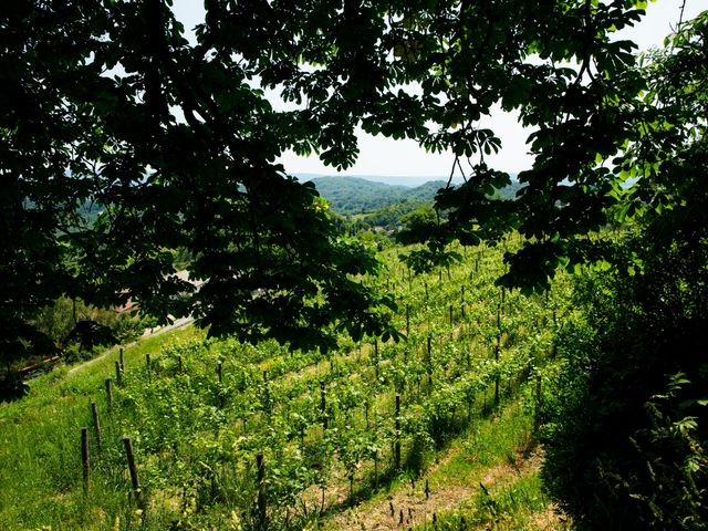 Il matrimonio di Maurizio e Martina a San Floriano del Collio, Gorizia 36