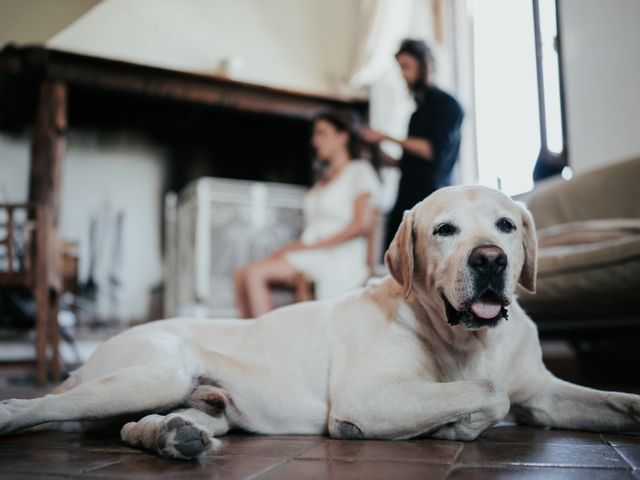 Il matrimonio di Andrea e Pamela a Roma, Roma 9