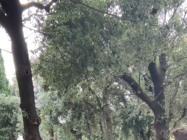 Il matrimonio di Lucas e Anna a Bitonto, Bari 4