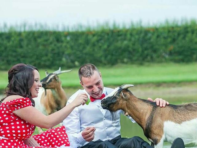 Il matrimonio di Mario e Elena a Cremona, Cremona 3