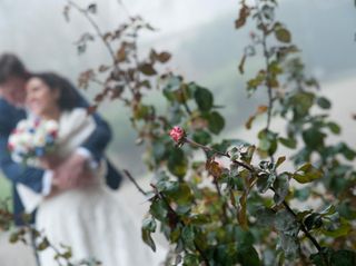 Le nozze di Dario e Isabella