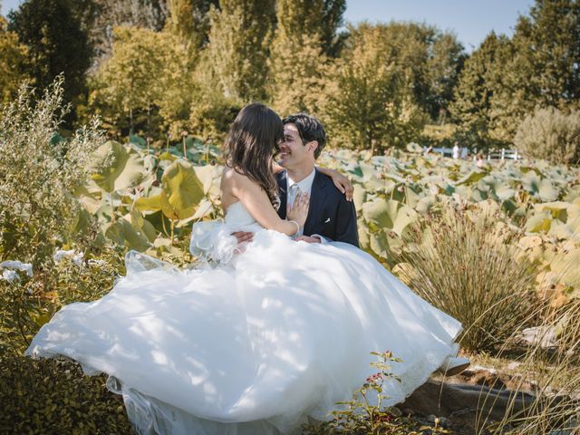 Il matrimonio di Paolo e Catia a Bovolenta, Padova 24