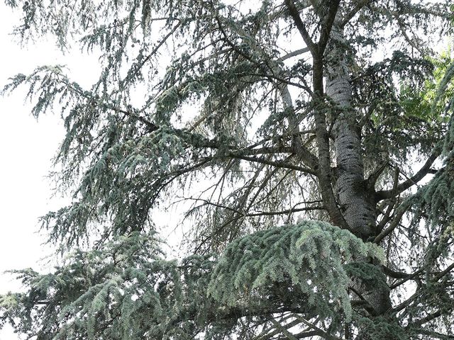 Il matrimonio di Lourdes e Stefano a Grottaminarda, Avellino 25