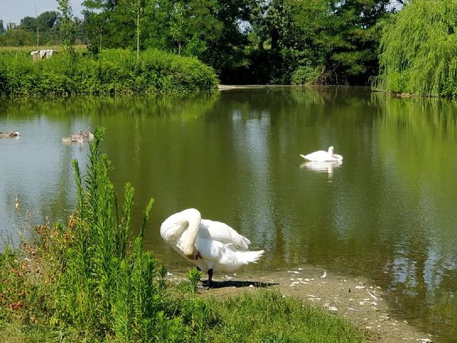 Il matrimonio di Flavia e Francesco a Cesano Boscone, Milano 1