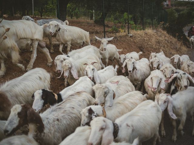 Il matrimonio di Giovanni e Rossella a Trebisacce, Cosenza 56